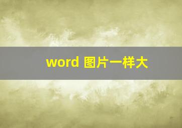 word 图片一样大